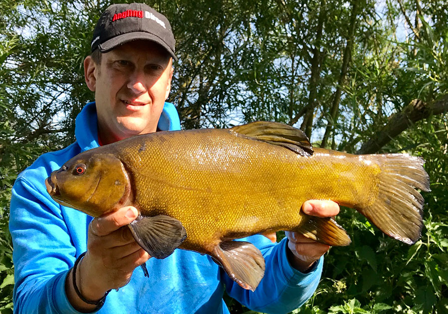 Tench Fishing Update - Justin Grapes