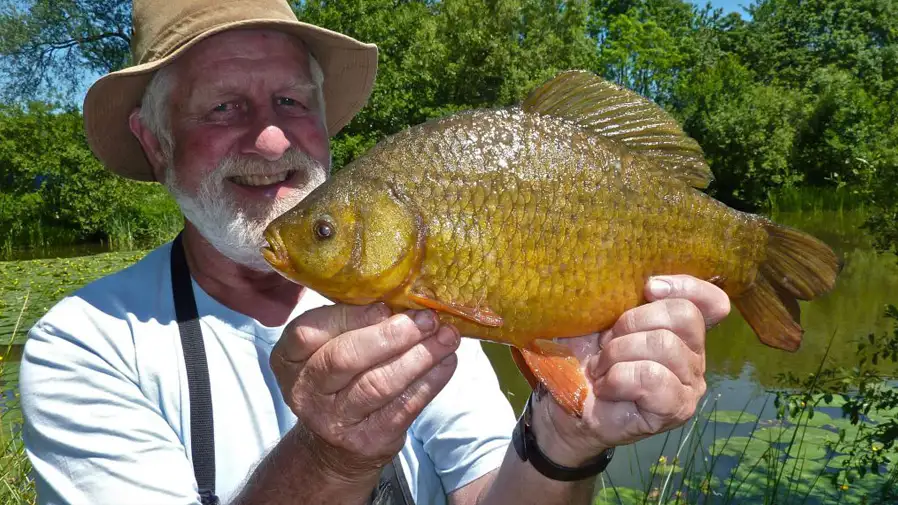 Catch a Crucian Month 2017 - The Winners!