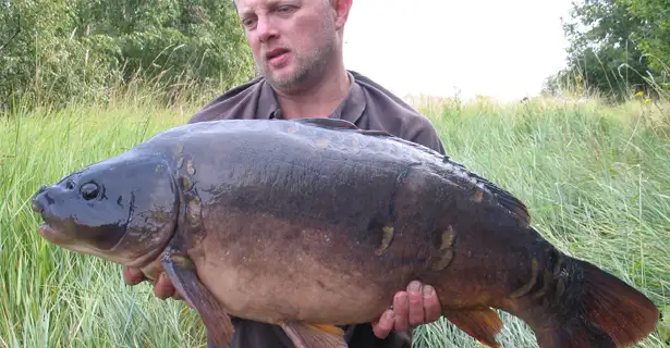 Three Cambs Carp, Puddy Cats & A Rare No 'Compo'... Michael Stewart