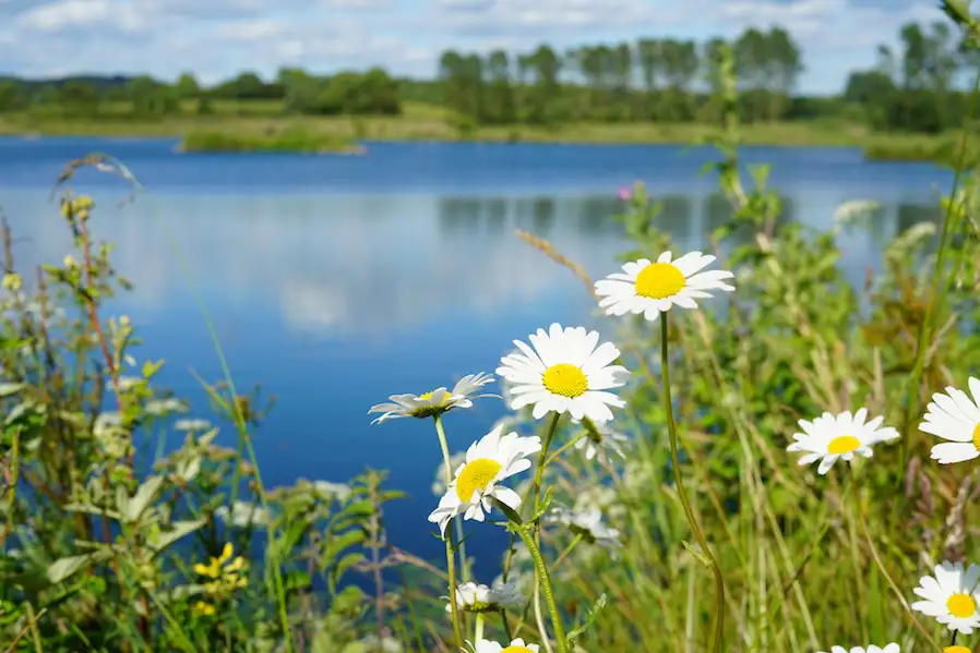 Thursday Focus - Keeping Cool On The Bank