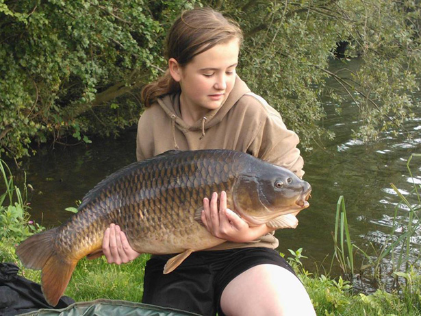 Lois Willcox 27lb 12oz Common