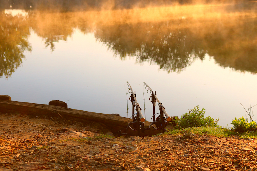 Matthew Fleet - French Carping At Old Oaks