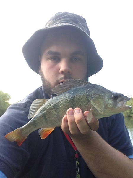 Travis Robertson Perch 2