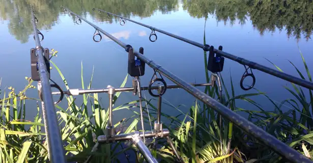 French Carping.. Robin Carver