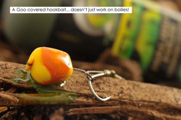 Korda-Goo-Hookbait