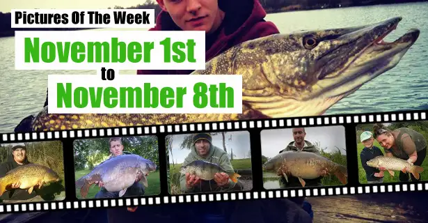 Angling Direct Pictures Of The Week!