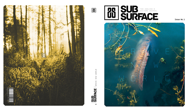 Subsurface-1