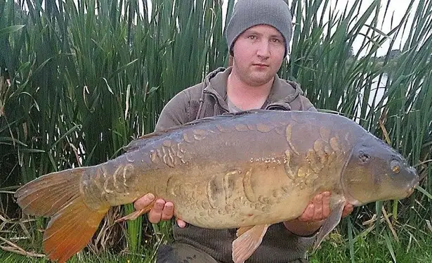 Craig Crowther - Just rhoought I'd share this old scaley mirror, not my biggest capture but definitely my favourite - Caught from a tricky northwest syndicate