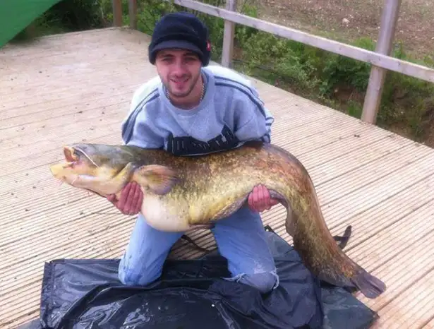 Joe Hunter 61-8oz Cat From Crow Green Essex