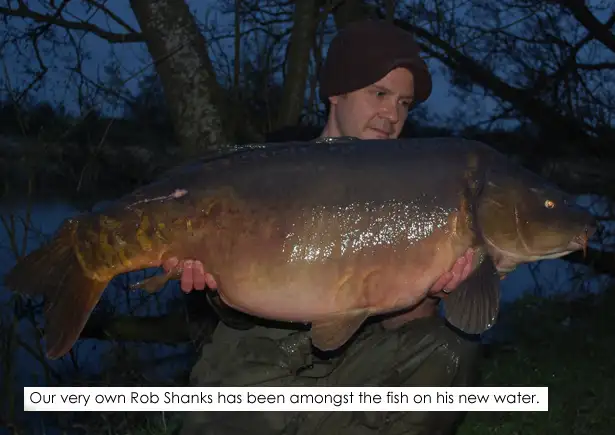 Rob-Shanks-Carp