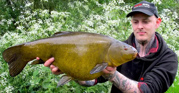 The Tench Of A Lifetime… Josh Fisher