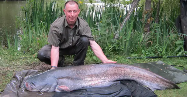 95lb Catfish Tops Amazing Haul For Tony Price!