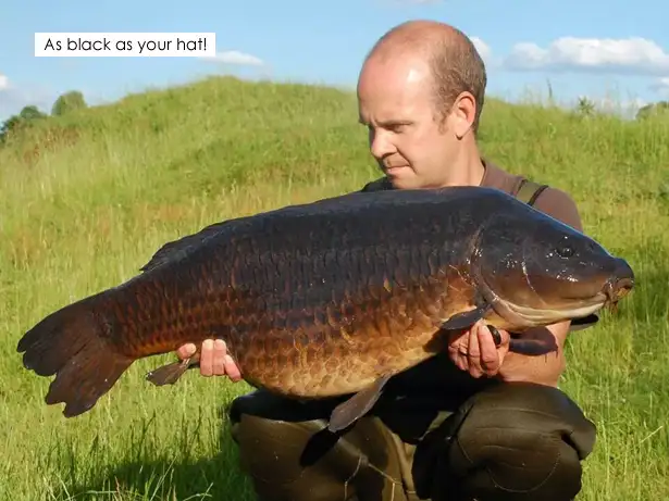 Carp Fishing Diary Rob Shanks III