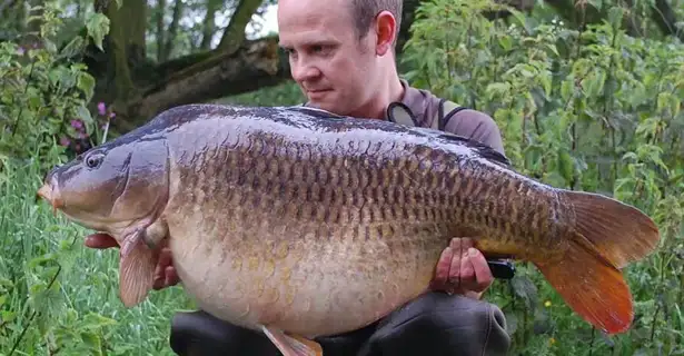 Carp Fishing Diary… Rob Shanks