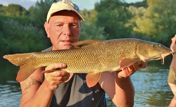 Barbel Fishing On The River Wye IIIIIII