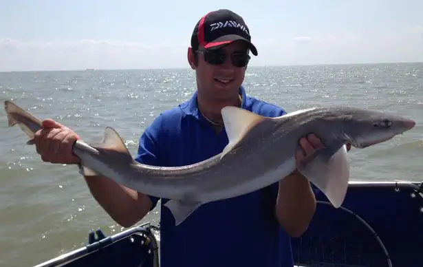 Boat Fishing For Smooth Hound 5