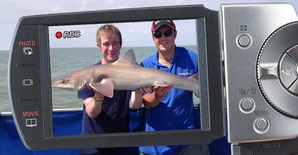 Boat Fishing For Big Smooth Hounds