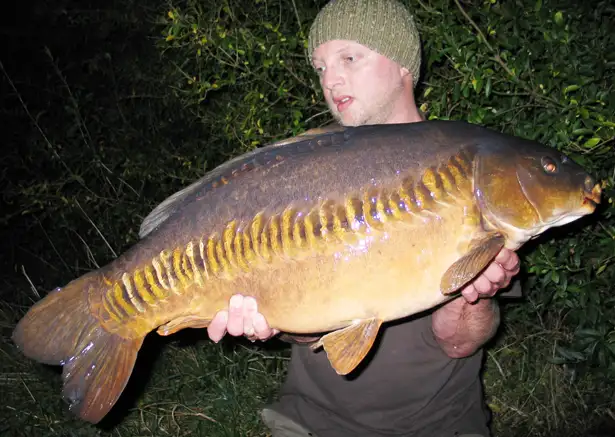 27lb-13oz-Linear