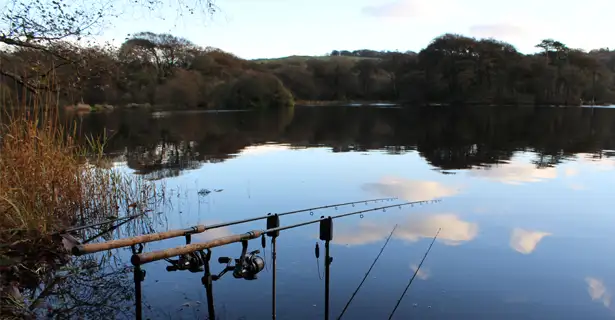 Specimen Roach Fishing - James Champkin