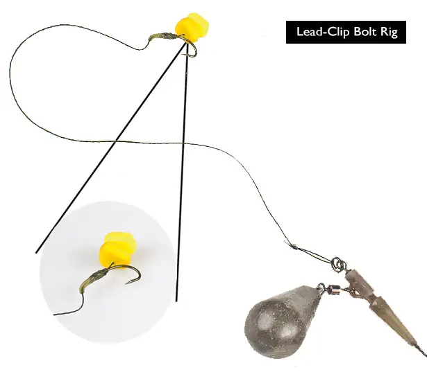 Carp-Rigs-LEAD-CLIP_RIG