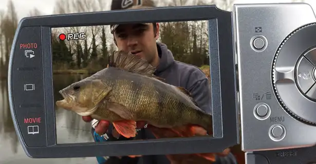 Big Perch Fishing