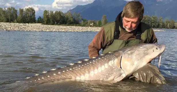 Sturgeon Fishing - Martyn Page