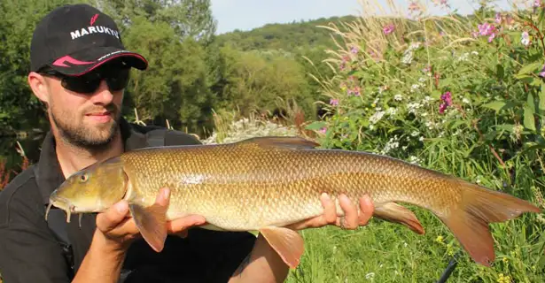 Barbel Bonanza On The Wye - Allan Thornby