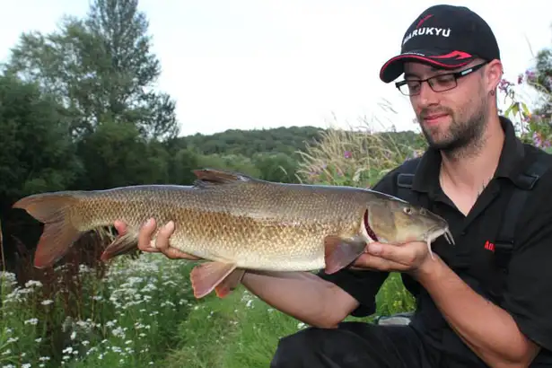 River Wye Barbel - 5