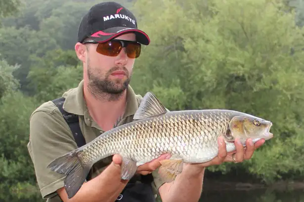 River Wye Barbel - 8