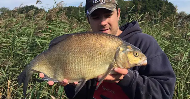 Feeder Fishing For Bream On Stillwaters