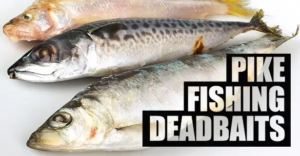 Pike Fishing Special - Deadly Deadbaits