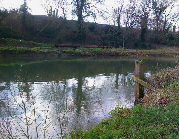 Joys Of City RIver Fishing-6