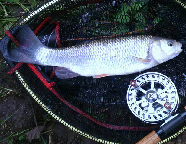 Joys Of City RIver Fishing-7