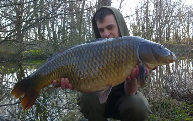 Hayden-24lb-Common-1