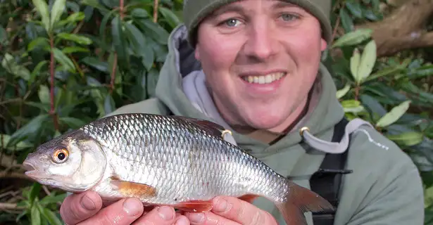 Specimen Silvers - Fishing For Big Roach