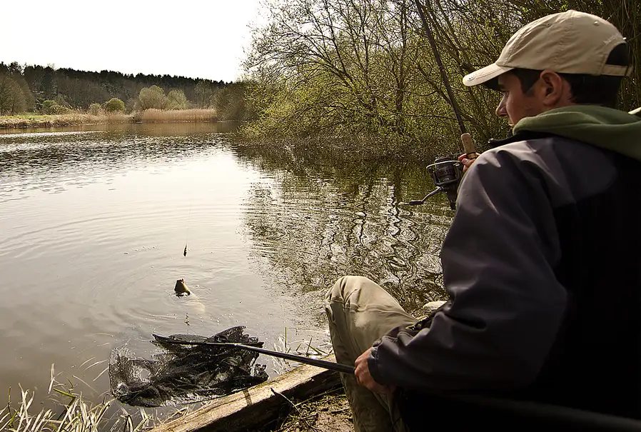 Tench Fishing In Spring-2