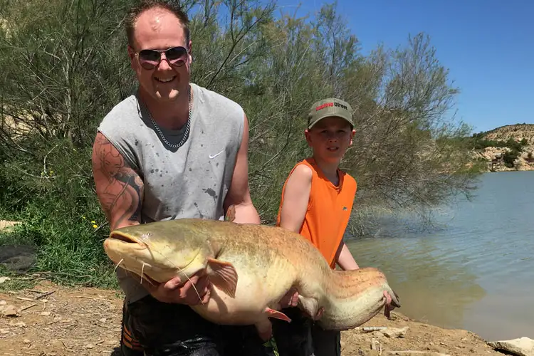 spain-catfish-capers-ebro-27-05-2016-1