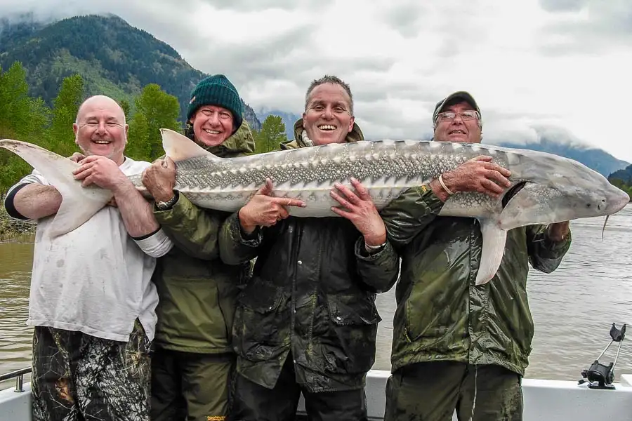 hosted-canada-sturgeon-fishing-frazer-river-g-1