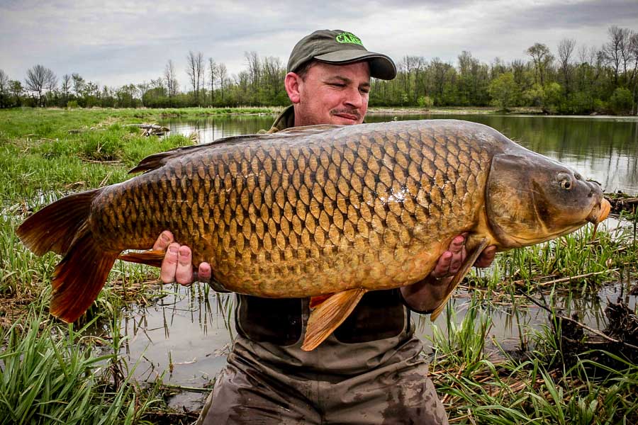 carp-fishing-canada-canadian-carpin-g-1