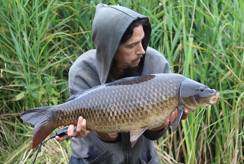 Monster Bream - Steve Swan