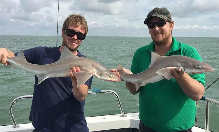 Boat Fishing For Smoothound In The Thames Estuary