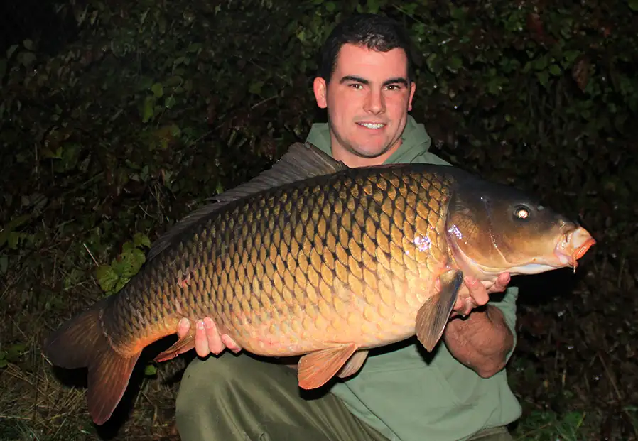 French Carp - Ade Kiddell