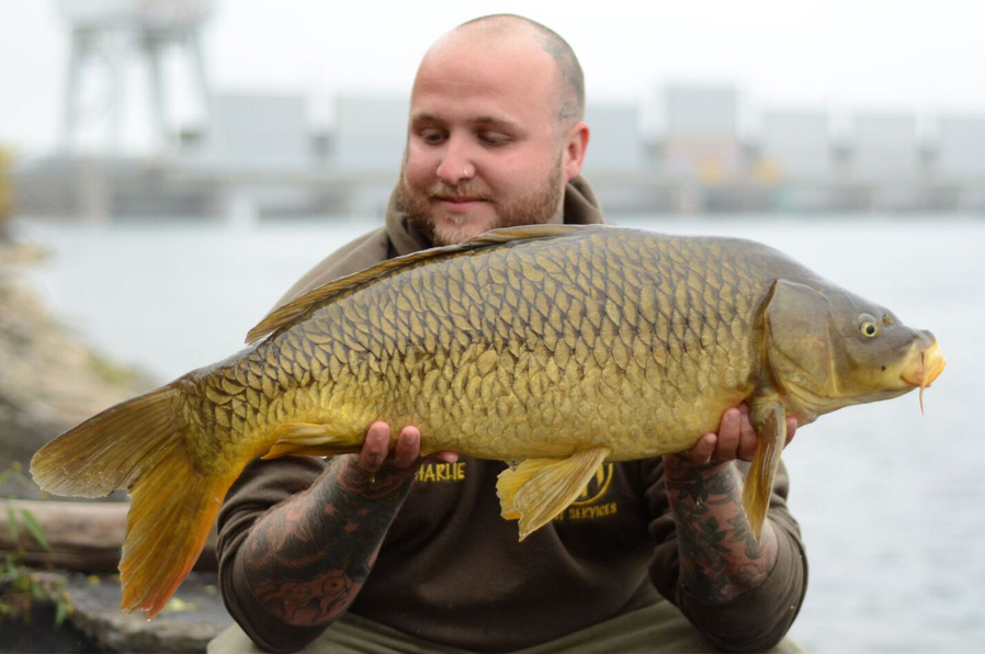 KOTC-2015-Carp-3