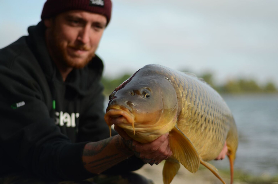 KOTC-2015-Carp-9