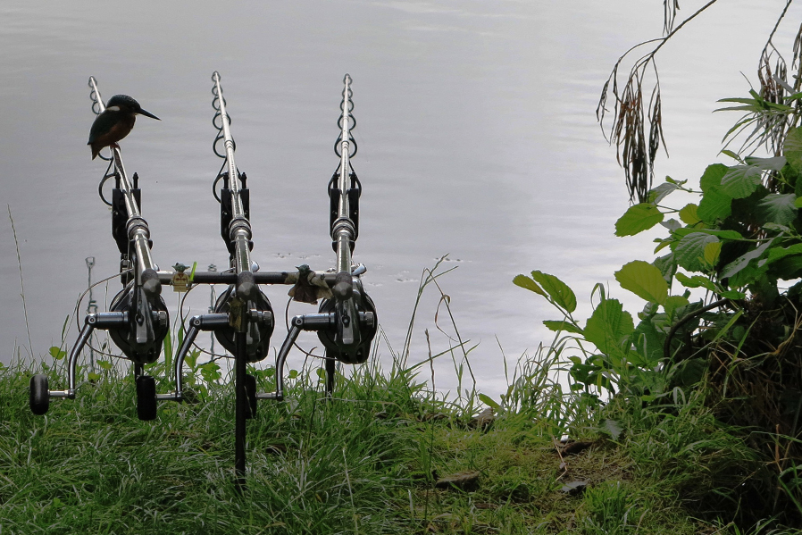 Carp Fishing Catch Up - Michael Stewart