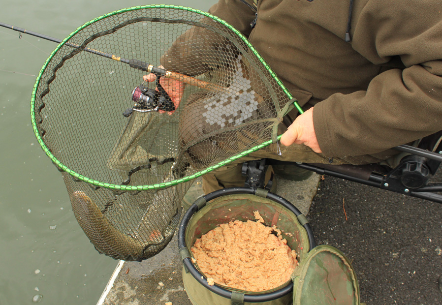 ade-bread-fishing-9