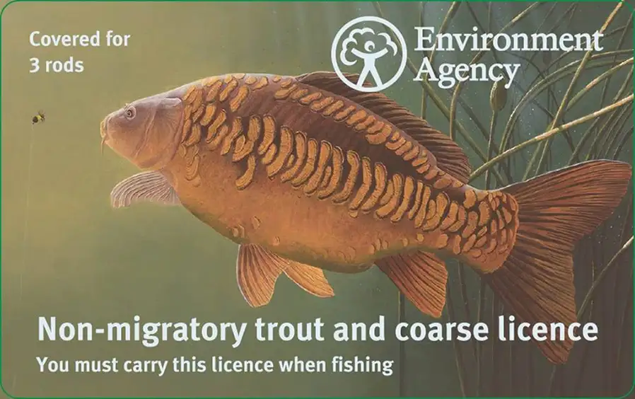 Fishing Licences Explained