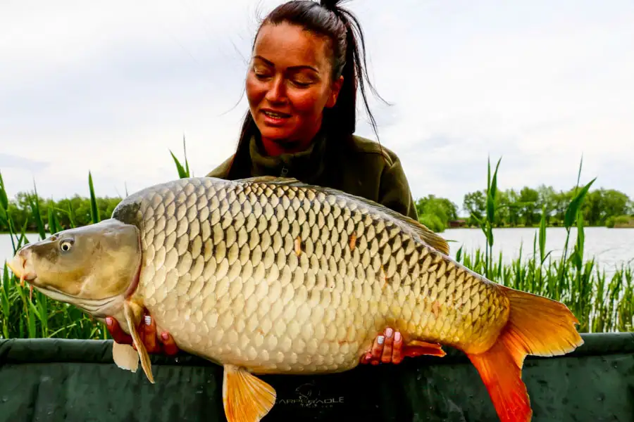 paradise-lake-carp-fishing-hungary-g-14