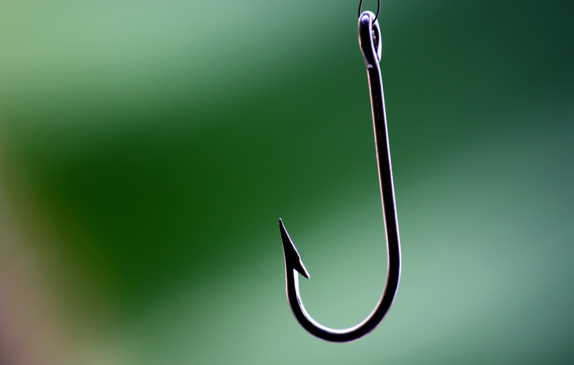 Barbed vs Barbless Hooks - Barbed Better for Fish Care?!