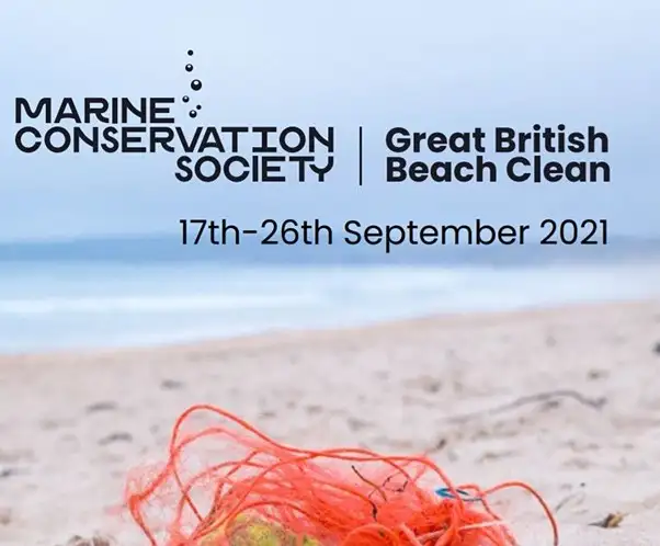 The Great British Beach Clean – How Anglers Can Help